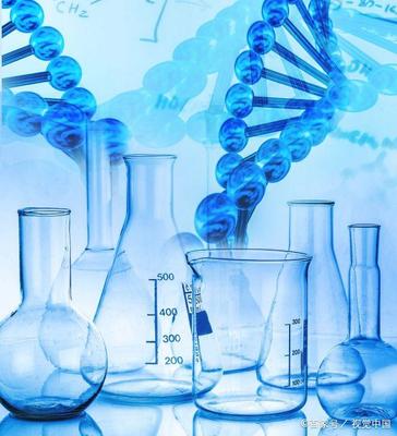 干细胞移植为肝病治疗开启新篇章 最新研究进展与未来展望