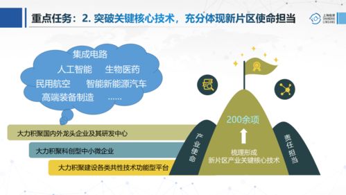 图解 临港新片区前沿产业发展“十四五”规划之医学研究和试验发展